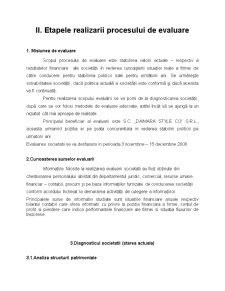 Evaluarea întreprinderii la SC DaimaraStyle COSRL - Pagina 3