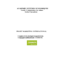 L'analyse de la strategie de marche de la compagnie multinationale Cosmote - Pagina 1