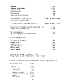 Bazele contabilității - aplicații - Pagina 4