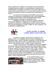 Gamma Press Consulting - Analiza SWOT - Pagina 3