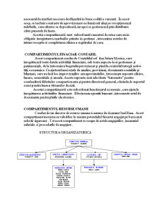 Gamma Press Consulting - Analiza SWOT - Pagina 5