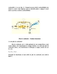 Principiile de funcționare și tipologia pilelor de combustie - Pagina 2