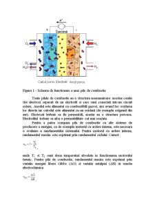 Principiile de funcționare și tipologia pilelor de combustie - Pagina 3