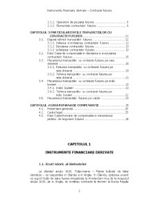 Instrumente Financiare Derivate - Contractele Futures - Pagina 2