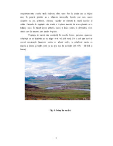 Tundra - Pagina 5
