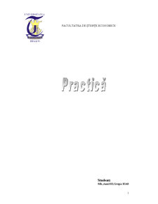 Practică - SC Alka Grup SRL - Pagina 1