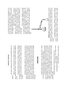 Distilarea simplă și fracționată - Pagina 1