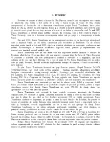 Proiect Practica de Specialitate - Banca Transilvania - Pagina 5