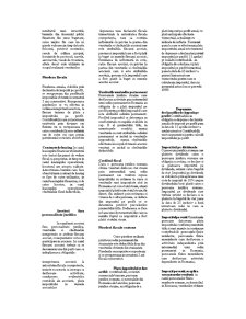 Contabilitate și Fiscalitate - Pagina 4