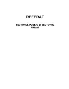 Sectorul Public și Sectorul Privat - Pagina 1