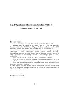 Organizarea gestiunii la Spitalul Clinic de Urgență Prof. Dr. N. Oblu Iași - Pagina 3