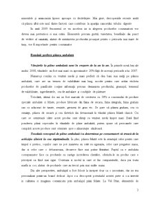 Analiza Pieței Pâinii din România - Pagina 3