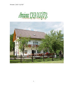 Prezentarea unui produs turistic rural - pensiunea turistică - Casa Olguța - Pagina 5