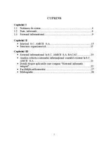 Sistemul informațional al firmei - Pagina 2