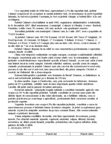 Analiza SWOT a județului Călărași - Pagina 2
