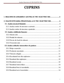 Analiza financiară a SC Pro Electric SRL - Pagina 2