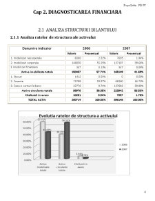 Analiza financiară a SC Pro Electric SRL - Pagina 5