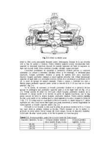Părțile Fixe ale Mecanismului Motor - Pagina 3