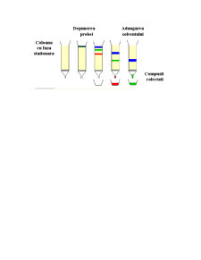 Cromatografia de lichide și aplicațiile sale - Pagina 4
