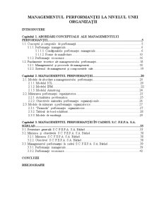 Managementul performanței în cadrul SC FEPA SA Bârlad - Pagina 1