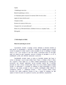 Mini raport intermediar - cercetarea pieței de rezervări bilete de avion prin intermediul internetului în România - Pagina 2