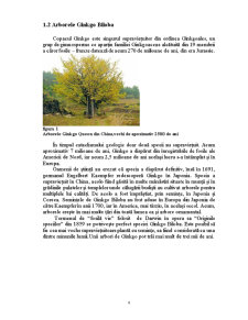 Utilizarea în terapeutică a speciei Ginkgo Biloba - Pagina 4