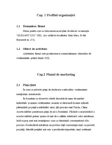 Plan de Afaceri SC Elegant SA - Pagina 2
