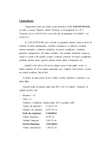 Analiza Costurilor Firmei - SC Agrointer SRL - Pagina 1