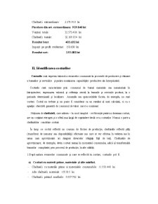 Analiza Costurilor Firmei - SC Agrointer SRL - Pagina 2