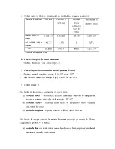 Analiza Costurilor Firmei - SC Agrointer SRL - Pagina 4