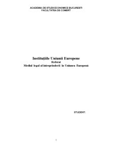 Instituțiile Uniunii Europene - mediul legal al întreprinderii în Uniunea Europenă - Pagina 1