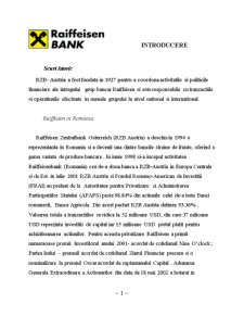 Proiect practică - analiză Raiffeisen Bank - Pagina 1