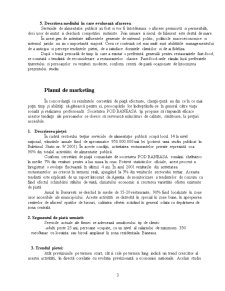 Plan de afaceri pentru finanțare - SC Pod Băneasa SA - Pagina 3