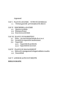 Plan de afaceri - SC UCM Reșita SA - Pagina 3
