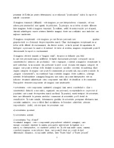 Analiza Politicii de Produs a Firmei Parmalat în România - Pagina 3