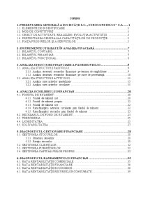 Diagnosticul Financiar și Evaluarea la SC Euroconstruct SA - Pagina 2