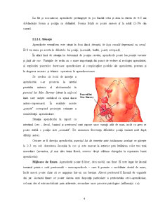 Anatomia Apendicelui Ileocecal - Pagina 4