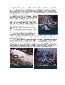 Poluarea apei în municipiul Bârlad - Pagina 3