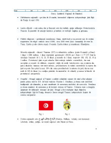Piața Turistică a Tunisiei - Pagina 5