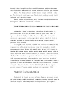 Sistemul Penitenciar din România - Pagina 5