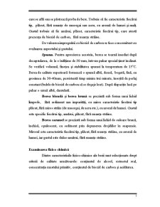 Studiul calității berii - Pagina 5
