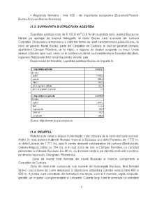 Determinarea Decalajului Regional dintre Judetul Buzau si Judetul Prahova - Pagina 5