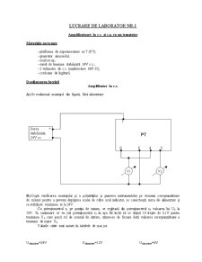 Dispozitive și Circuite Electrice - Laborator 1 - Pagina 1