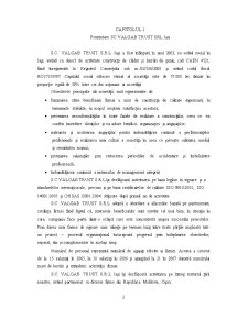 Analiză economico-financiară SC Valgab Trust SRL Iași - Pagina 2