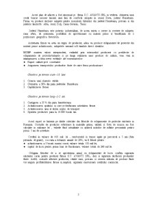 Plan de afaceri - SC Avanti SRL - Pagina 2