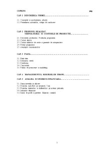 Plan de afaceri - SC Avanti SRL - Pagina 3