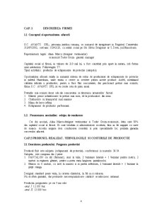 Plan de afaceri - SC Avanti SRL - Pagina 4