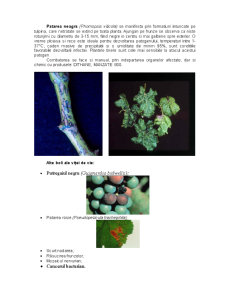 Combaterea bolilor în plantațiile viticole - Pagina 5