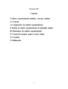 Cultura organizațională - conținut, forme, tipuri în instituții și autorități publice - Pagina 2