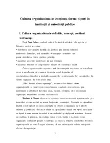 Cultura organizațională - conținut, forme, tipuri în instituții și autorități publice - Pagina 3